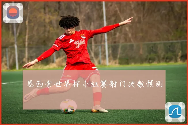 恩西索世界杯小组赛射门次数预测