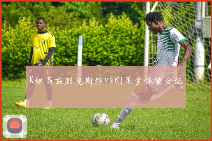 K组乌兹别克斯坦vs刚果金体能分配