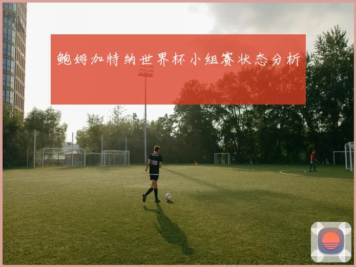 鲍姆加特纳世界杯小组赛状态分析