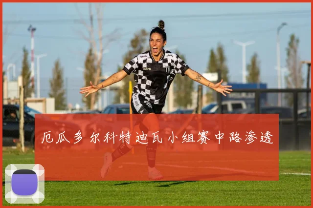 厄瓜多尔科特迪瓦小组赛中路渗透