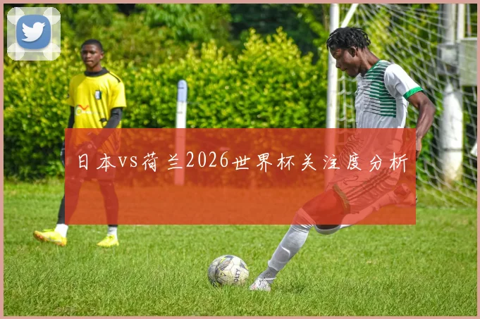 日本vs荷兰2026世界杯关注度分析