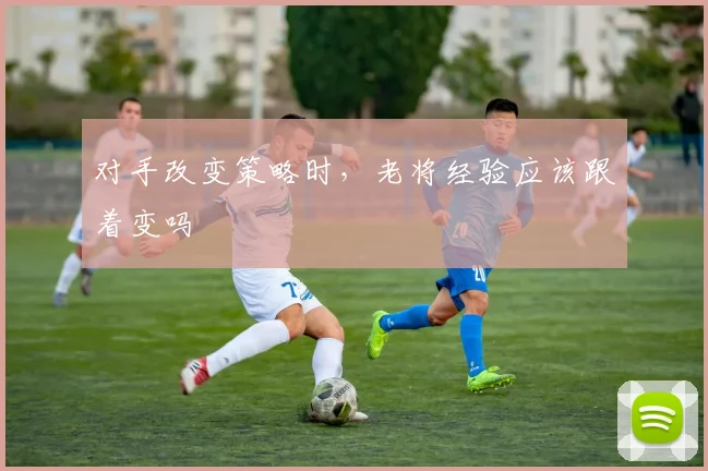 对手改变策略时，老将经验应该跟着变吗