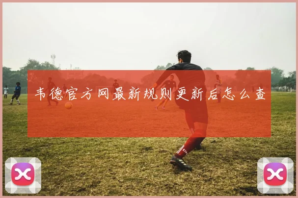 韦德官方网最新规则更新后怎么查