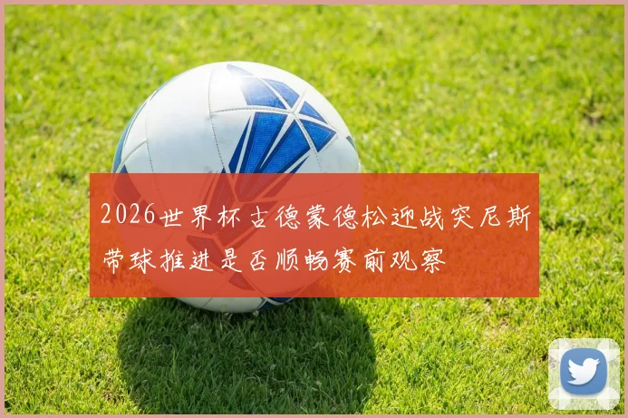 2026世界杯古德蒙德松迎战突尼斯带球推进是否顺畅赛前观察