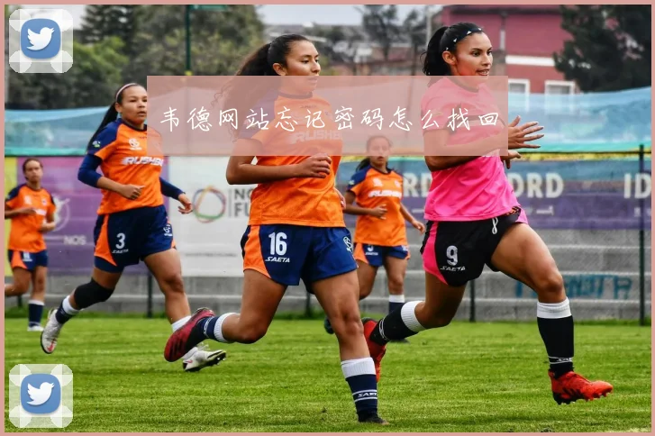 韦德网站忘记密码怎么找回