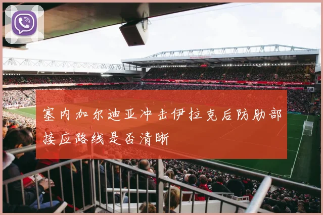 塞内加尔迪亚冲击伊拉克后防肋部接应路线是否清晰