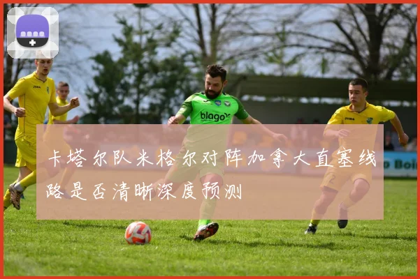 卡塔尔队米格尔对阵加拿大直塞线路是否清晰深度预测