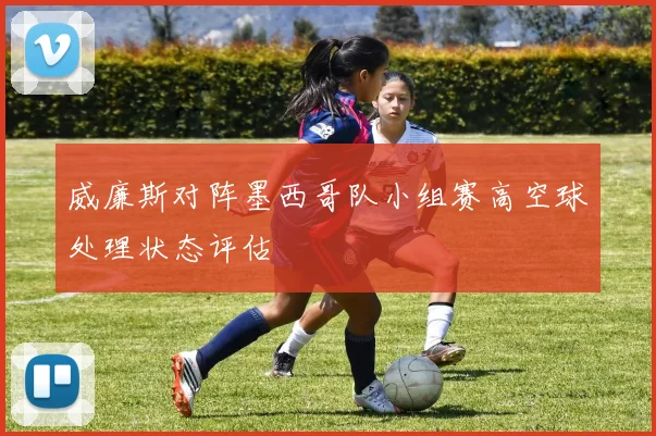 威廉斯对阵墨西哥队小组赛高空球处理状态评估